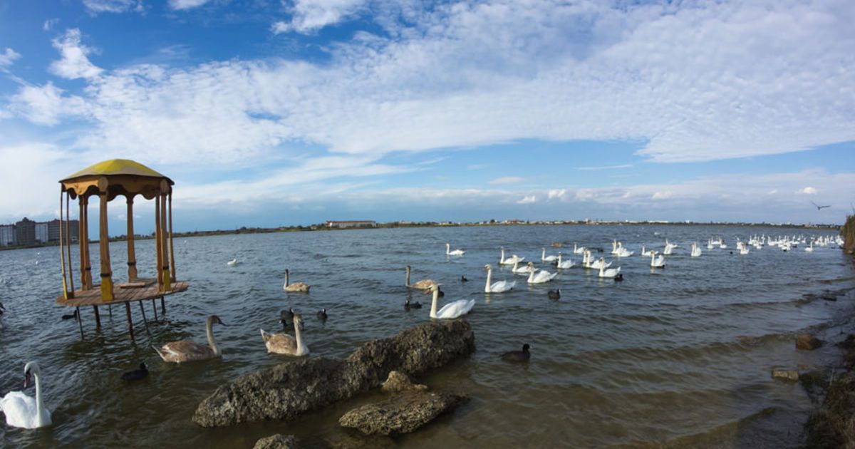 Отдых на Арабатской стрелке. Лечебные озера и археологические находки