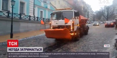 Погода в Украине: в столице из-за оледенения упало около десятка деревьев