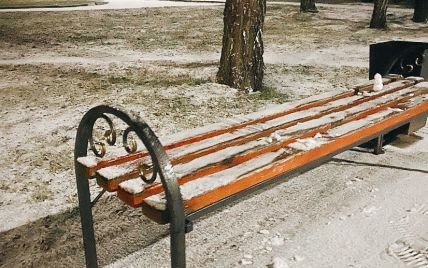 Первый снег на порог: в четырех областях Украины обрадовались осадкам (видео)