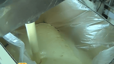 Науковці розвіяли міфи про пальмову олію