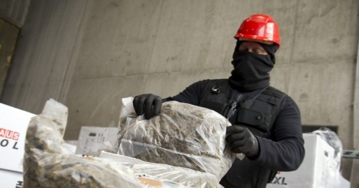 Німецька влада використала арештовану рекордну партію марихуани для опалення будинків