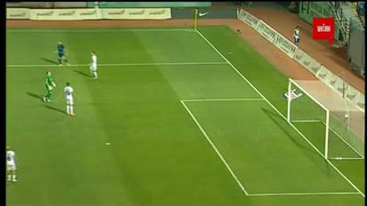 Заря – Десна – 0:2. Видео гола Безбородько