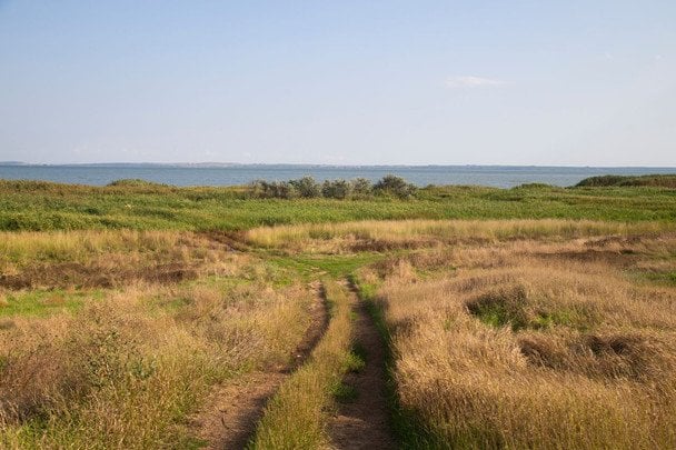 Народные приметы 31 августа / © pexels.com