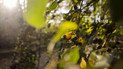 Новая рабочая неделя начнется солнечной и ясной погодой. Прогноз на вторник