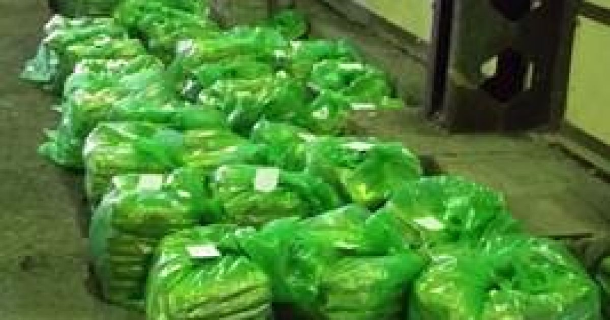 Рекордная партия героина