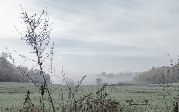 14 листопада хмарність, туман — буде мокра зима / © unsplash.com