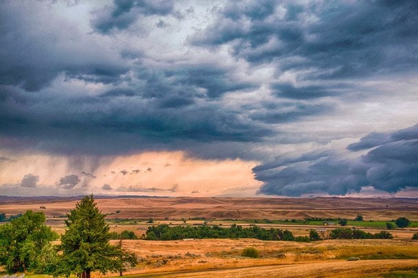 Народные приметы 1 июля / © pexels.com