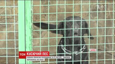 У Харкові домашній пес сильно покусав свою господиню та її гостей