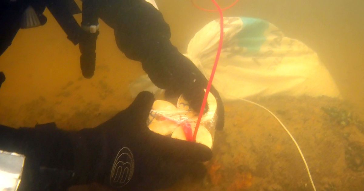 Вибухи у Київському водосховищі_7 / © ГСЧС