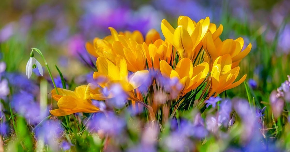 Найближчими днями в Україні потеплішає