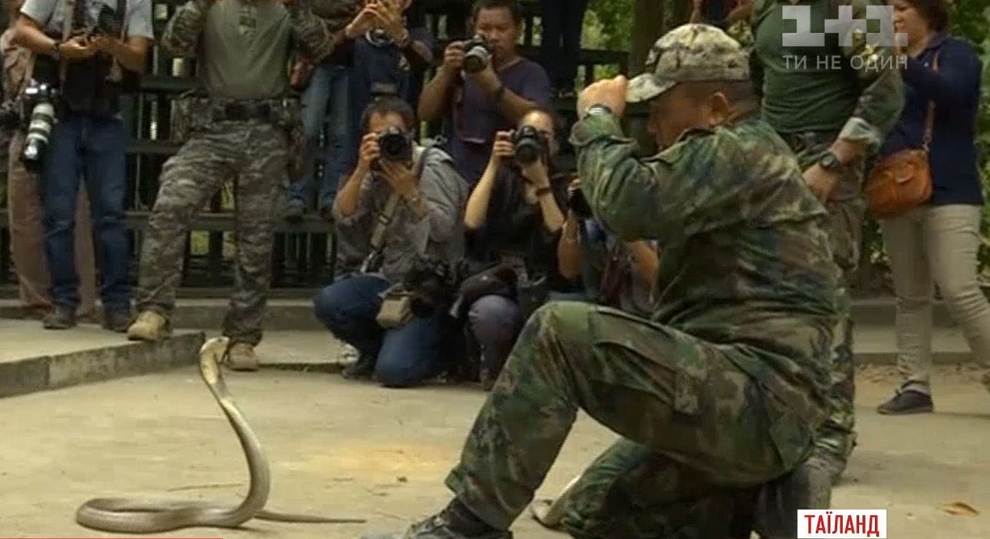 Тайские военные научили коллег из США, Японии и Южной Кореи выживать в джунглях