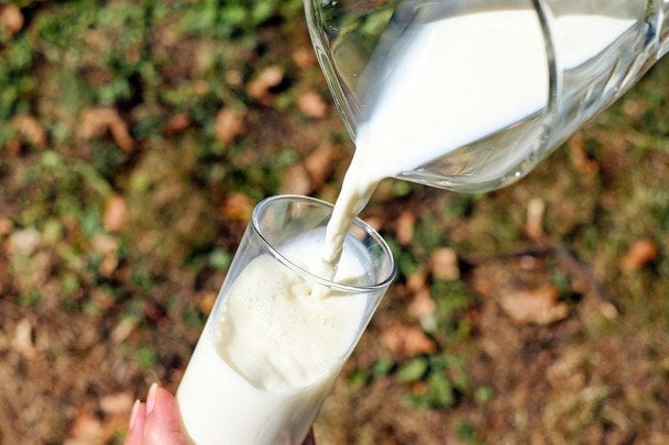 Один продукт из кухни — томаты будут плодоносить до сентября: помогает от фитофторы, а плоды вырастают по 600 каждый