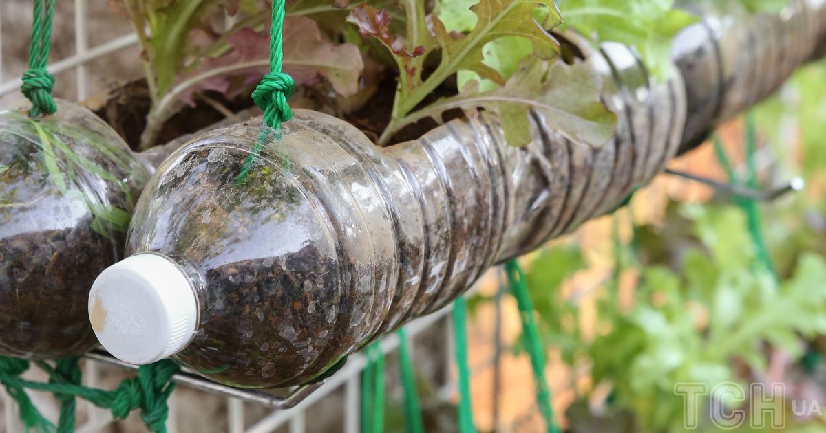 Вертикальні грядки