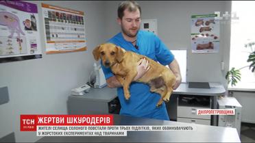 Селяни звинувачують трьох підлітків у жорстоких експериментах над тваринами