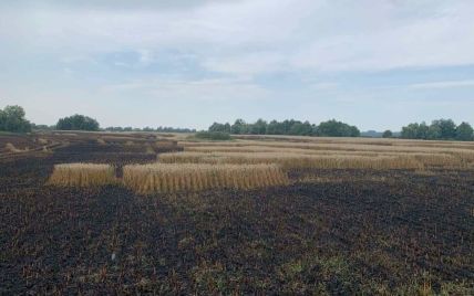 Invaders Massively Shell Borderline Districts of Sumy and Chernihiv Regions from Russian Territory (Photo)
