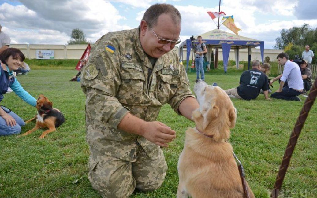 Собаки допоможуть силовикам пройти реабілітацію / © УНІАН