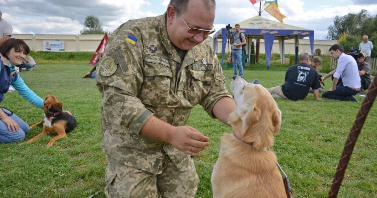 Собаки помогут силовикам пройти реабилитацию / © УНИАН