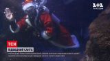 В Германии дайвер в костюме Санты погрузился на дно одного из самых больших аквариумов