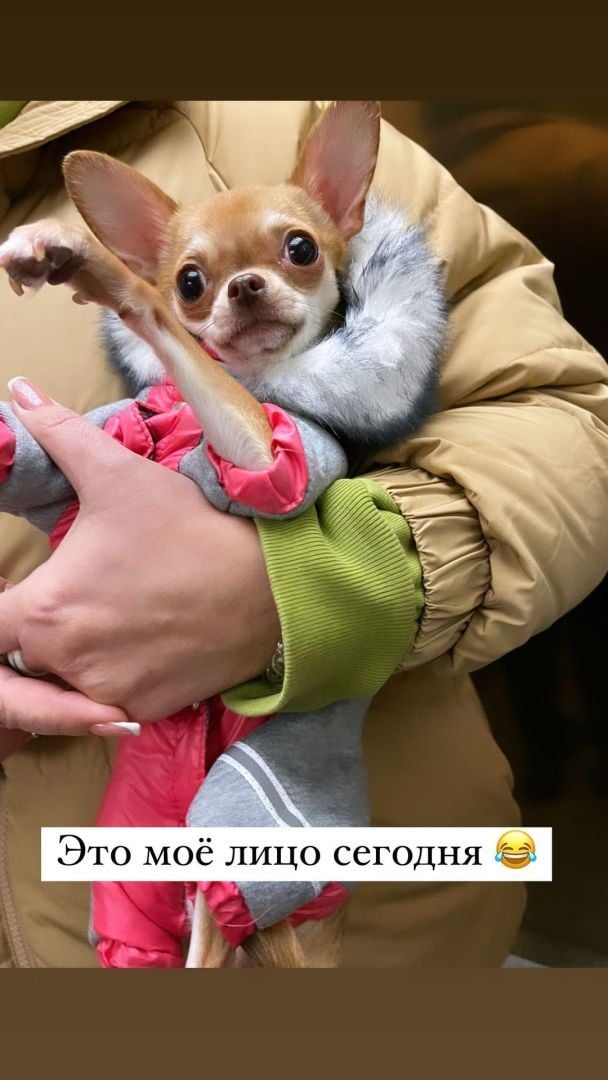 / © instagram.com/dasha_ulyanovaa