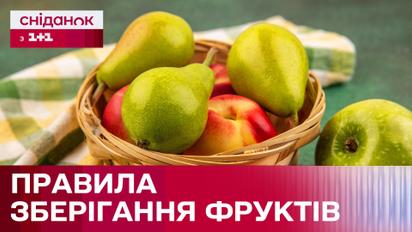 Як правильно зберігати груші, яблука і шипшину взимку - поради від Дарії Дорошкевич
