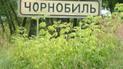Відлуння Чорнобиля. Як захистити себе від впливу радіації