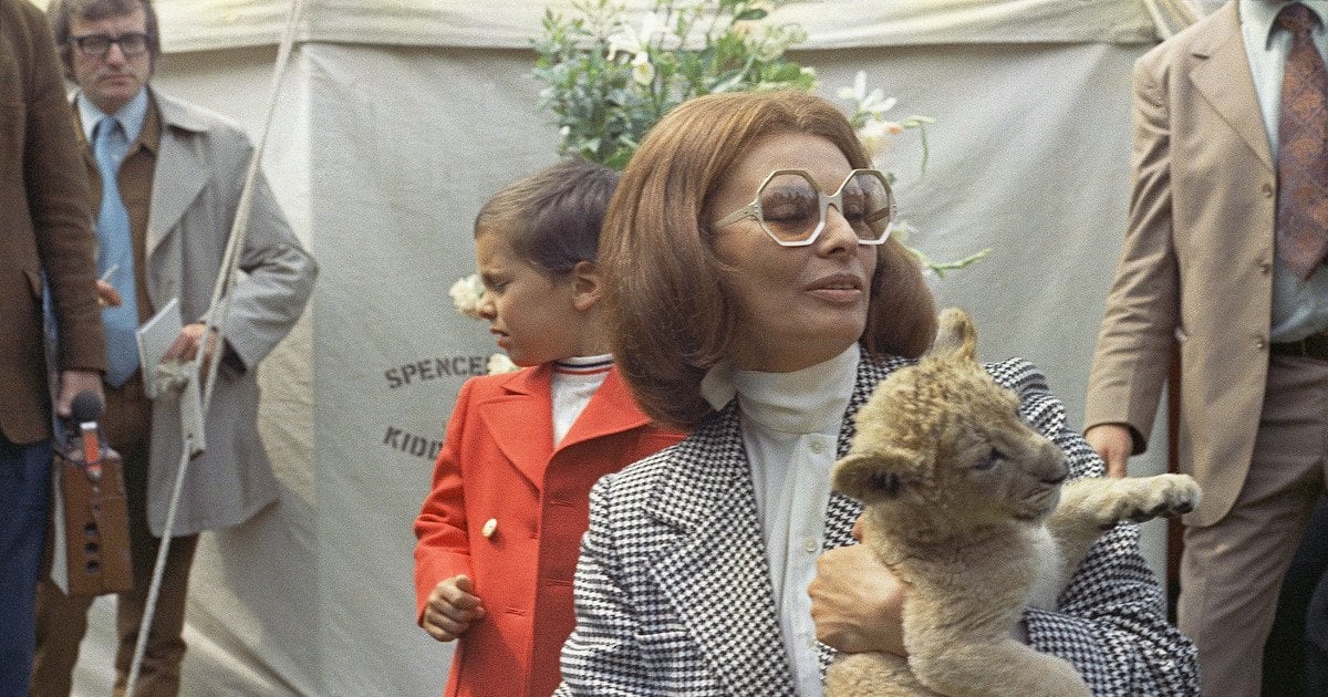 Софі Лорен.