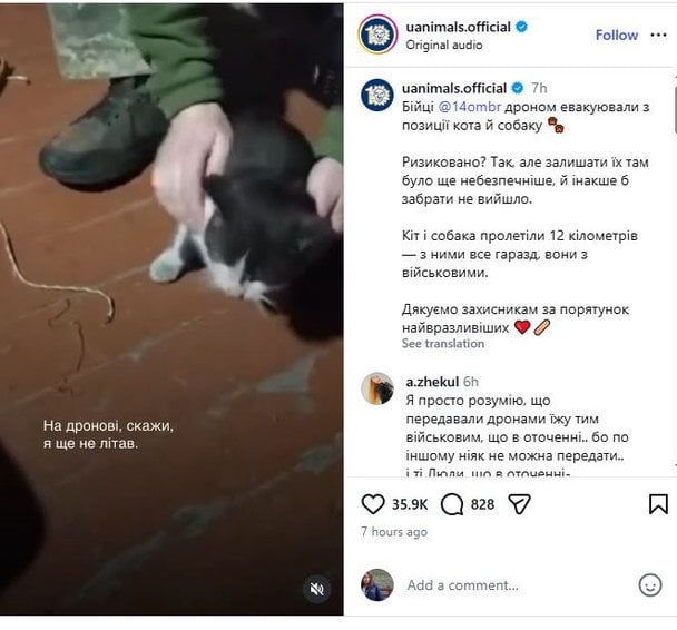 Військові дроном евакуювали кота і собаку з передової Фото скрін відео UAnimals.