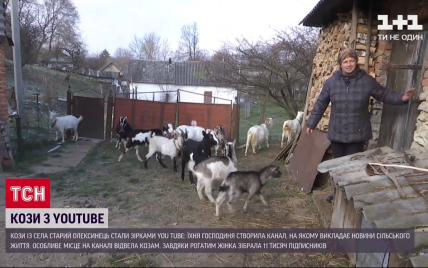 "Я и мои козы": блогерша из тернопольского села получила славу в Сети благодаря хозяйству