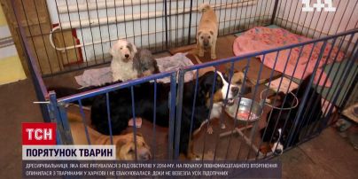 Дресирувальниця звірів двічі тікала від війни і тепер вимушена жити в цирку