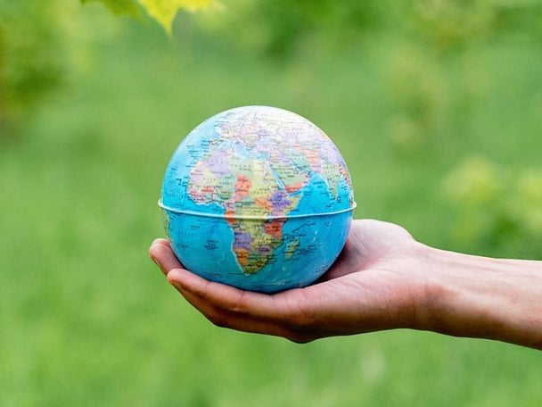 1 листопада Всесвітній день екології / © pexels.com