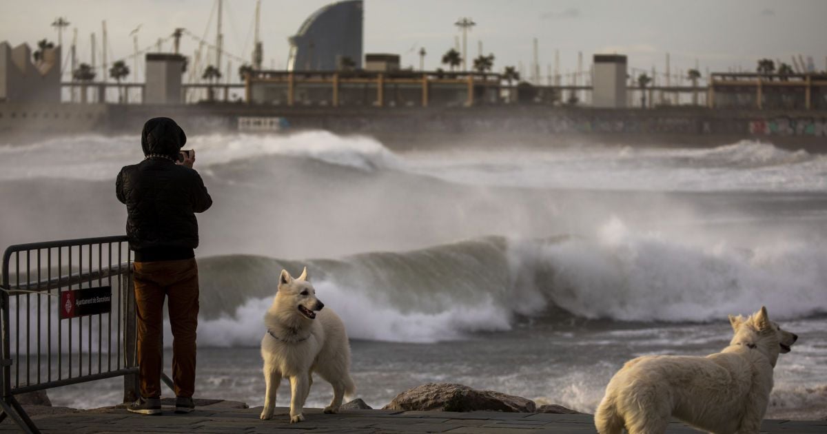 Штормовий вітер