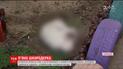 В Запорожье нетрезвая женщина выбросила собаку с 7 этажа