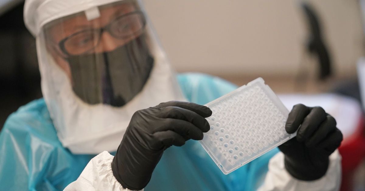 Мавпяча віспа невпинно розповсюджується Африкою