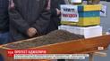 Під Кабмін принесли труну із мертвими бджолами