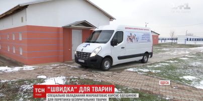 В Одесі почала працювати швидка для безпритульних тварин