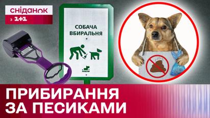 Собачьи "сюрпризы"! Убирают ли украинцы за своими собачками?