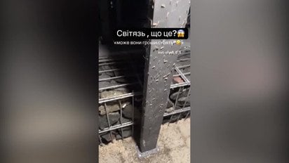 Нашествие насекомых на Свитязь - рои атакуют людей и животных