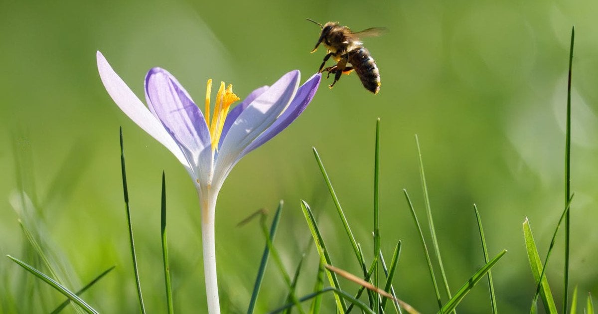 16 апреля в Украине будет теплая погода