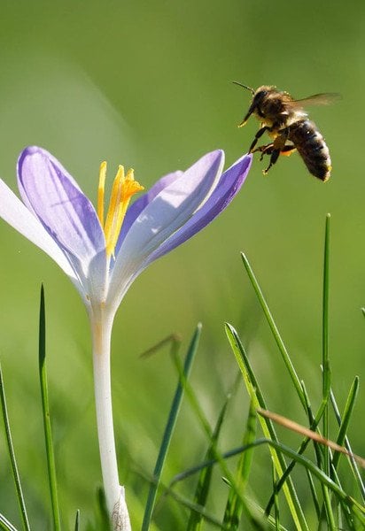 Какой сегодня, 18 апреля, день ангела