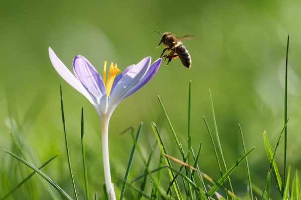 Погода в Україні різко зміниться, а в одній з областей буде небезпечно: детальний проноз від синоптиків