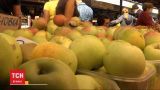Фруктові жнива: чи багатий урожай яблук і груш цього року і скільки вони коштують
