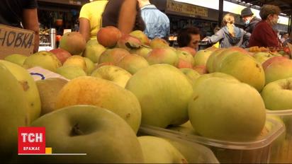Фруктові жнива: чи багатий урожай яблук і груш цього року і скільки вони коштують