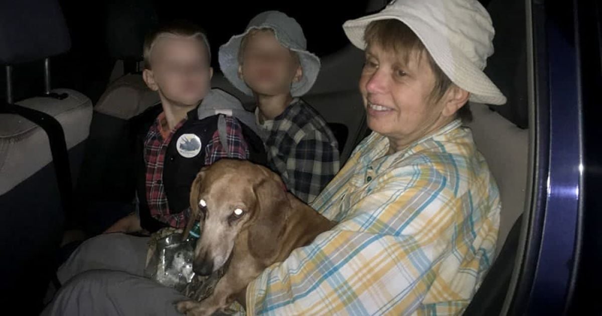 Забрела в хащі: на Закарпатті рятувальники знайшли в лісі жінку та двох малих дітей
