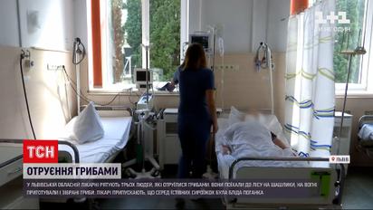 Новини України: отруєння грибами - як не стати жертвою лісового врожаю