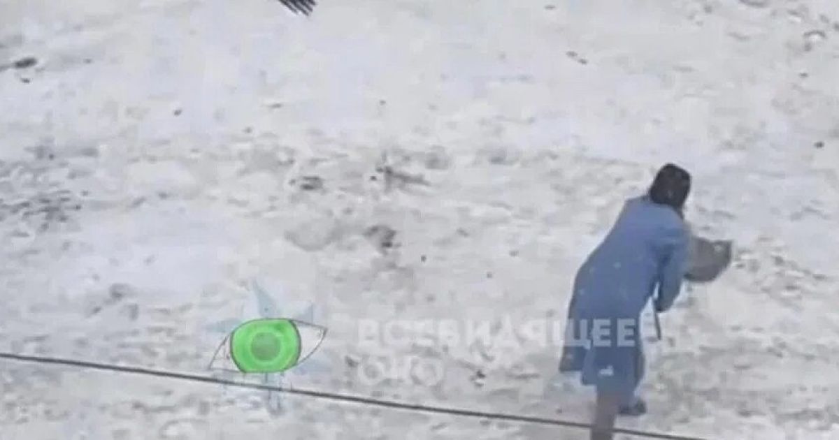 Фото: скриншот с видео