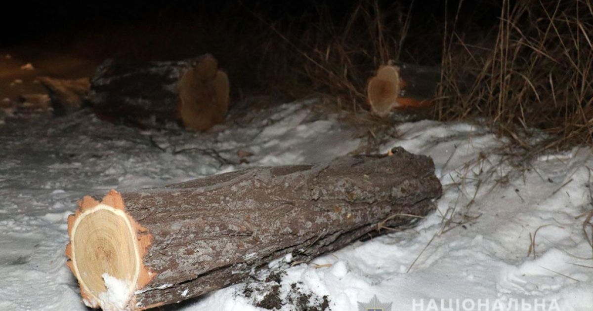 Вбивство під Маріуполем / © Facebook/Патрульна поліція Донецької області