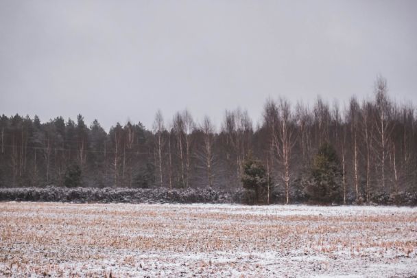 Народні прикмети 22 лютого / © Pexels