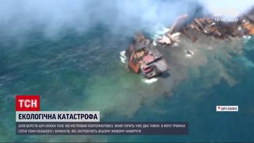 Новости мира: экологическая катастрофа у берегов Шри-Ланки грозит всему живому вокруг