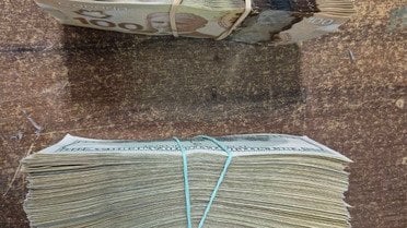 Українські митники запобігли контрабанді валюти_3 / © Державна митна служба України