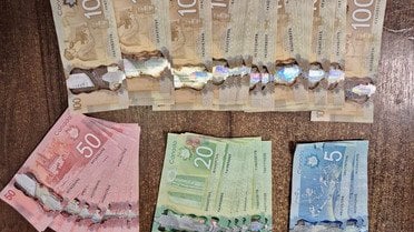 Українські митники запобігли контрабанді валюти_1 / © Державна митна служба України